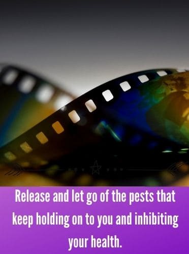 Release and let go of the pests that keep holding on to you and inhibiting your health.
